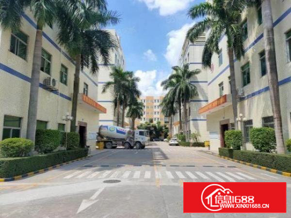 石岩水田独院仓库厂房出租工业园厂房招租精装修1200平分租