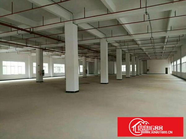 凤岗碧湖原房东独门独院全新厂房总面积31000平