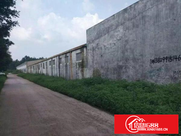 独院单层2450平厂房、滴水5米、空地大、租金便宜