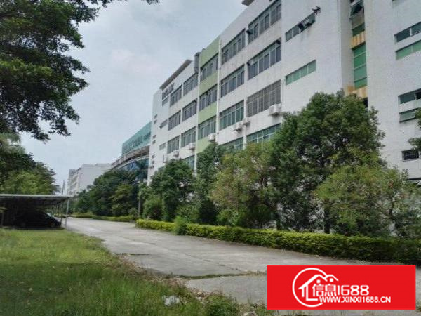 坑梓深汕路边一楼厂房1000平方出租