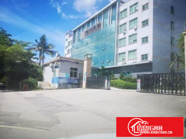 观澜大富工业区主干道边楼上2层共4000平方厂房出租可分租