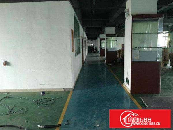 园洲1楼厂房1000平方水电齐全现成办公装修