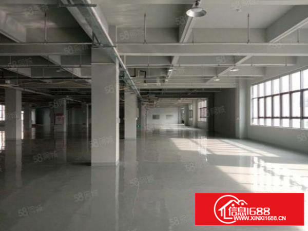 凤岗金凤凰6.5米高1出租单层2000平带行车配水电