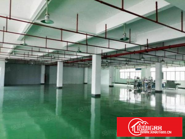 新建独门独院，容桂工业区800方带办公大马路边环评秒过A