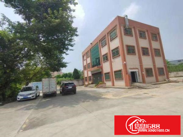 深圳龙华观澜经典花园式小独栋1-3层