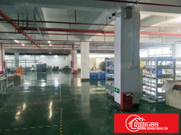 清溪三中独院标准2楼1500平方！双面采光!可办环评