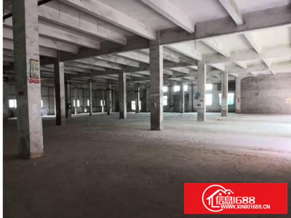 横岗大康工业区新出一楼3000平层高5.2米