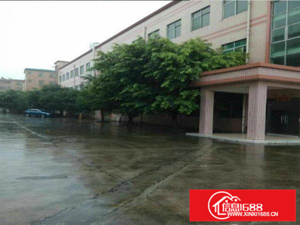 常平环城路边分租一楼1300方厂房招租