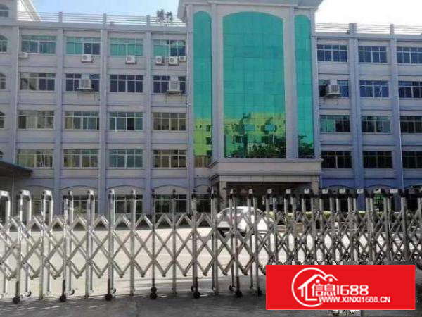 石岩龙眼山（实际面积）分租精装修厂房500平，四面采光