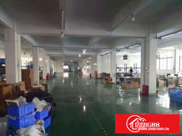 龙岗新出1000方厂房可分租，非常合适电子，制衣电商