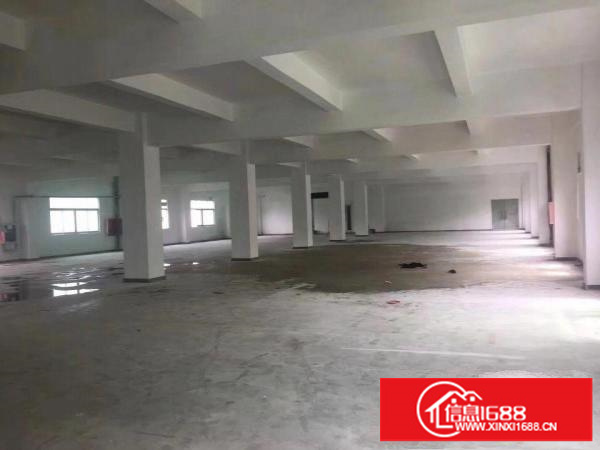 横岗独院厂房6400平米出租（四层每层1600平）
