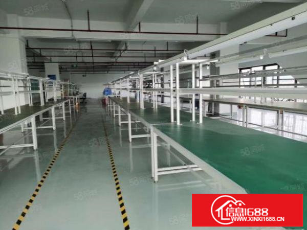 光明高新区南光高速出口红本独栋10000平方厂房出租带精装修