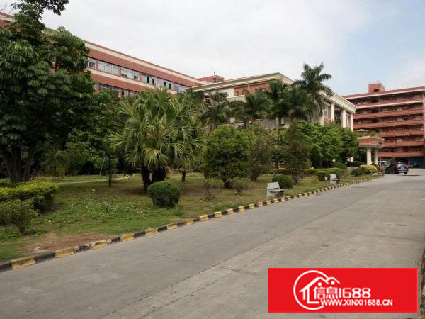 塘厦科苑城新出标准一楼1000平米厂房出租