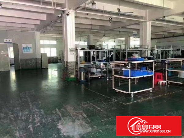 清溪大利新出一楼厂房1100平730平出租可分租