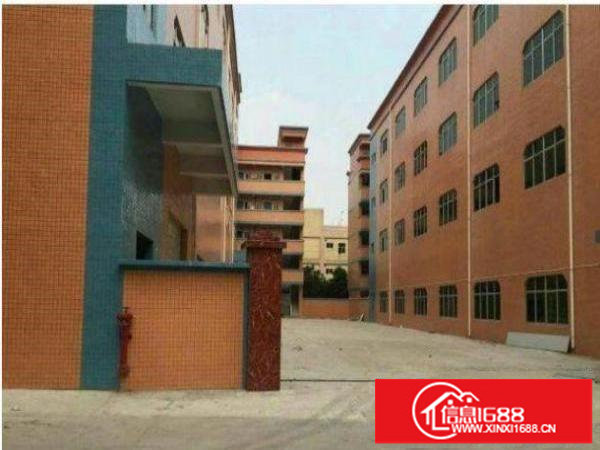 平湖新木村委楼上800平标准厂房形象好火热招租