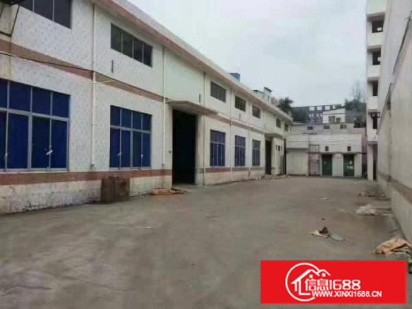 镇隆高速路口独栋钢构厂房5000平米，11元招租