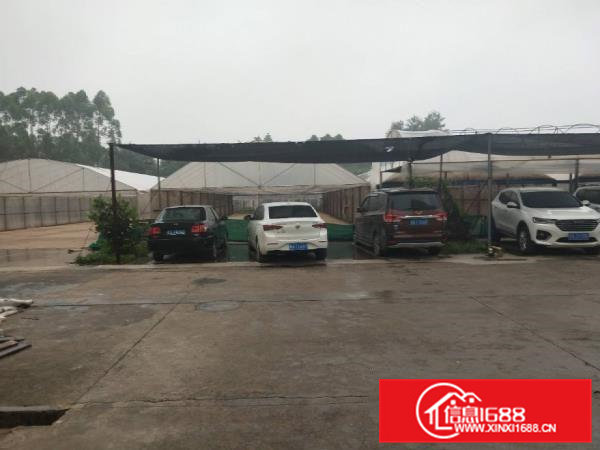 虎门白沙原房东标准一楼整层1280平方出租门口空地2700