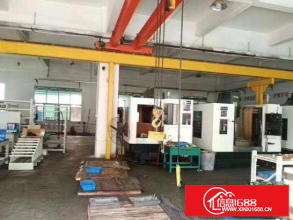 谢坑楼上标准厂房600平招租，有地坪漆消防喷淋，入驻及生产