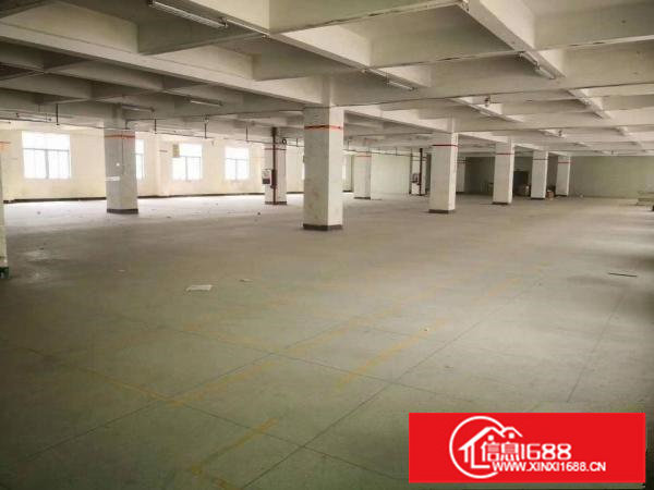 横岗六约独院厂房便宜出租，4800平水电齐全