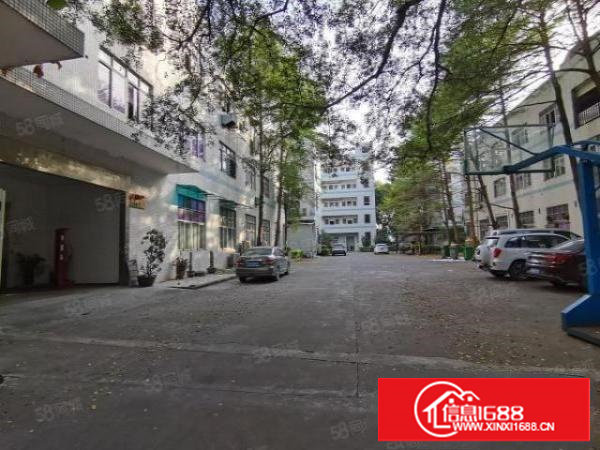 500起租塘厦石鼓工业区一二楼厂房仓库原房东出租可环评