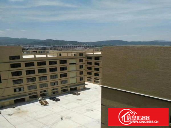 镇隆高速路口边,全新红本厂房出租