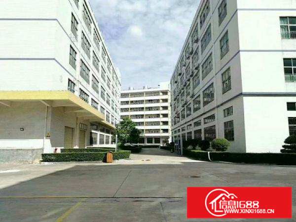 惠阳新圩东风新出1200平楼上标准厂出租，带装修