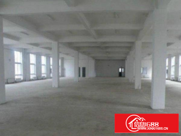 万江现有4800平方标准独院厂房火爆招租有电梯，消防喷淋