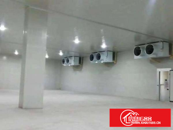 专业从事各种组合式冷藏库、冷冻冷库、速冻冷库、土建冷库设计安