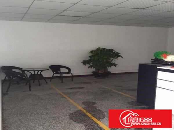 坂田路口带装修200.320.380.平出租