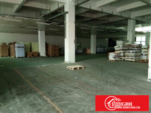 常平金美楼上900平米厂房出租（带装修）