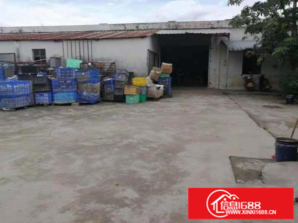 惠东县白花镇省道边2000平米独院铁皮房出租