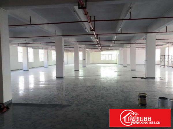 仲恺潼侨全新带消防喷淋厂房仓库1200平出租可分租