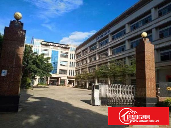 石排原房东自建高档独院厂房14500平方米