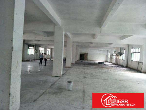 凤岗竹塘业主标准一楼厂房出租1500平方，价格便宜