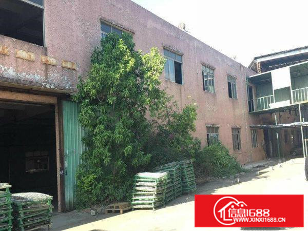 清溪三星新出一楼350平方，主线到车间，空地大