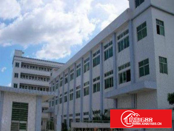 万江标准厂房分租一楼1200平方出租交通非常便利，可进大车，