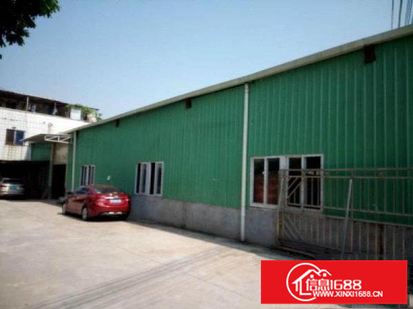 茶山新出单一层钢构独院1300平方厂房仓库出租