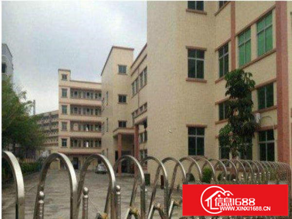 平湖鹅公岭标准厂房一楼1100平米九成新招租