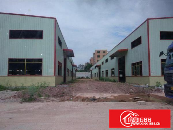 出租全新钢构厂房13000平米可分租。