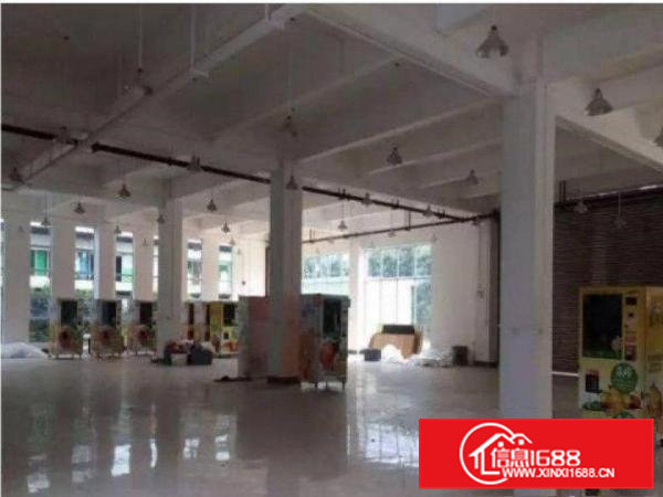 常平袁山贝一楼1000平米厂房带办公水电齐全，主干道附近