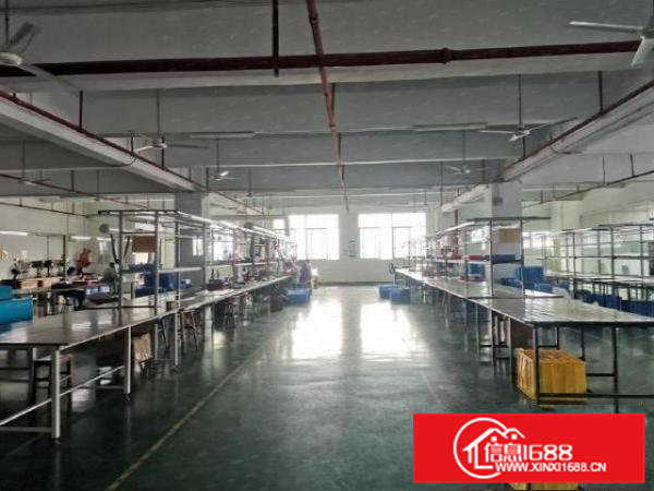 横沥田饶步楼上1100平方精装修厂房出租带地坪漆