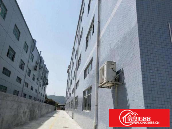 凤岗镇金凤凰全新厂房招租总面积16800平方