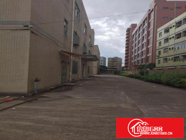 坪山汤坑工业区新出4800平米原房东独院厂房招租