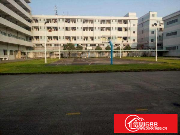 高埗唯一原房东标准独院楼房出租形象好