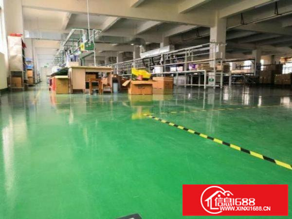 新出一楼1500平、3楼600平出租分租