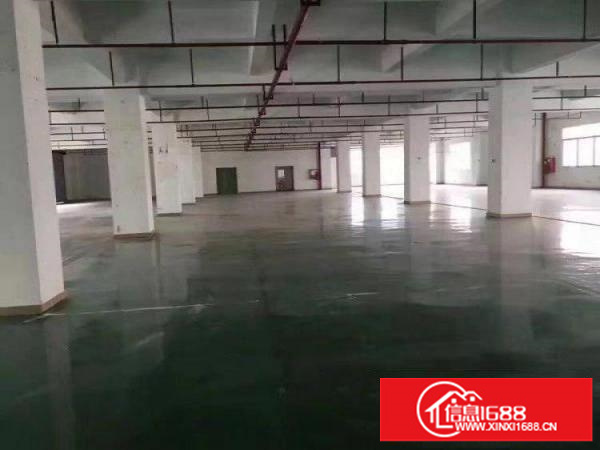 龙岗宝龙厂房6600平方米