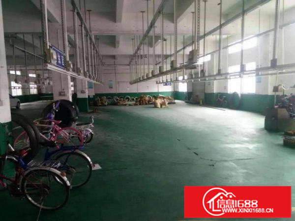 龙岗坪地新出一楼带装修厂房1300平米出租无公摊