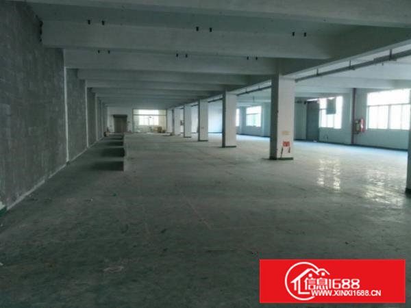 横沥独院三层厂房5000平米，宿舍按需配