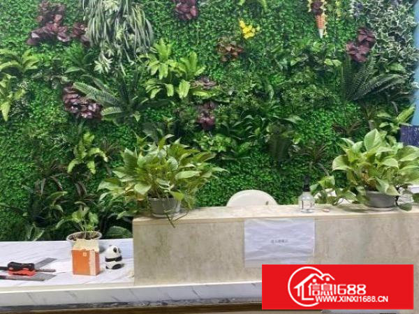 分租或转让龙岗坂田厂房