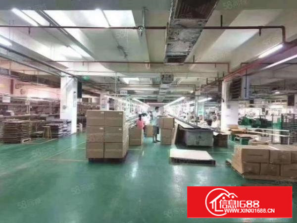 沙井东环路旁原房东厂房分租楼上整层3160平